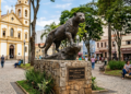 A 2ª melhor cidade do Brasil para viver lidera ranking de bem-estar entre 5.570 municípios, é a casa da onça-pintada, jaguatirica e mais de 11 espécies de mamíferos carnívoros da Mata Atlântica brasileira