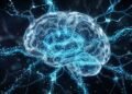 limpeza cerebral noturna