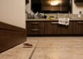 Barata correndo pelo piso de uma cozinha à noite com a luz recém-acesa, próxima ao rodapé.