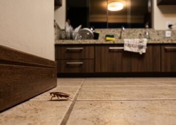 Barata correndo pelo piso de uma cozinha à noite com a luz recém-acesa, próxima ao rodapé.