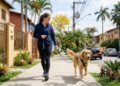 Quantas vezes por dia um cachorro deve passear para garantir a saúde e o bem-estar animal