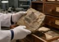 A espécie Cyathocarpus felicianoi permaneceu esquecida por quase 80 anos em uma coleção científica antes de ser reconhecida como nova para a ciência.