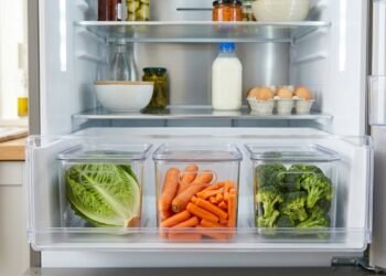 Quatro dicas para manter os vegetais frescos na geladeira por mais tempo