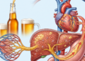 Estudo revela os efeitos da cerveja no fígado e na saúde cardiovascular