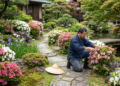 Provérbio japonês para refletir: “o jardim não floresce no dia em que você planta, mas em cada dia em que você volta para cuidar”.