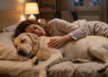 Quem prefere dormir com seus cães costuma compartilhar este traço emocional, segundo a psicologia