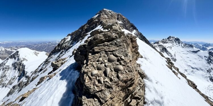 O mistério do Everest, a 8.848 metros de altitude existem fósseis de um oceano que desapareceu