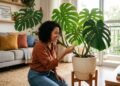 gostar de plantas