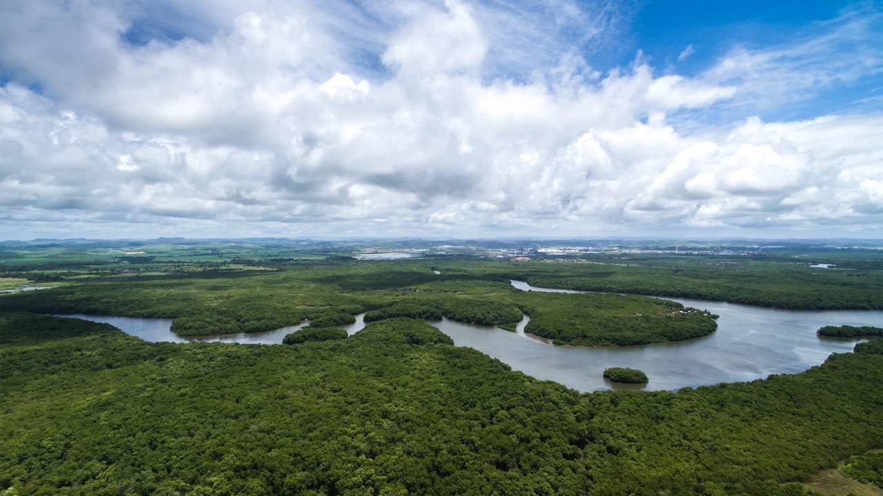 rio Amazonas