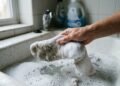 Como lavar meia branca encardida de forma rápida e eficiente