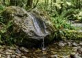 O significado do provérbio japonês, “A água que corre devagar penetra mais fundo na pedra”, o valor da constância sobre a pressa