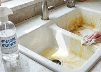 “Não precisa de água sanitária”: as manchas amarelas de água na pia podem ser removidas em poucos minutos com uma solução simples que ajuda a dissolver resíduos e devolver o brilho original, facilitando a limpeza do dia a dia sem produtos agressivos