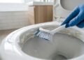 Uma faxineira de hotel revela o segredo para manter o vaso sanitário impecável: como remover calcário e manchas difíceis com mais facilidade, sem esforço excessivo e com resultados de limpeza profissional no dia a dia