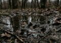 O significado do provérbio japonês: “A água parada apodrece” e por que a mudança constante é essencial para a vida