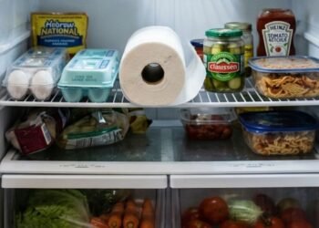 Demorei, mas finalmente entendi por que preciso colocar papel-toalha dentro da geladeira