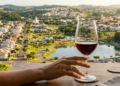 Segundo a ONU, a "Terra do Vinho" figura entre as 13 melhores do Brasil para viver, com destaque em indicadores de bem-estar