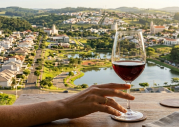 Segundo a ONU, a "Terra do Vinho" figura entre as 13 melhores do Brasil para viver, com destaque em indicadores de bem-estar
