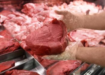 Os melhores cortes de carne para carne moída que garantem sabor e suculência nas receitas