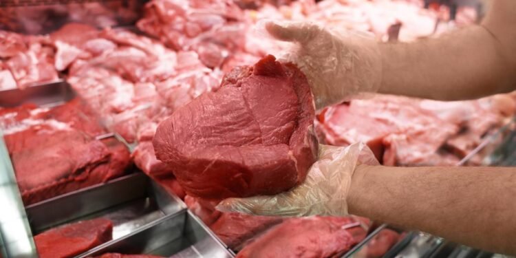 Pedir ao açougueiro para moer a peça duas vezes elimina os nervos maiores e garante uma textura suave para molhos - Créditos: depositphotos.com / serezniy