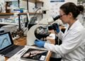 Cientistas abrem lata de mais de 50 anos de idade e descobrem algo bom