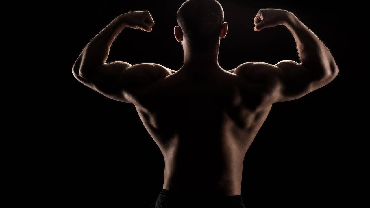 musculação