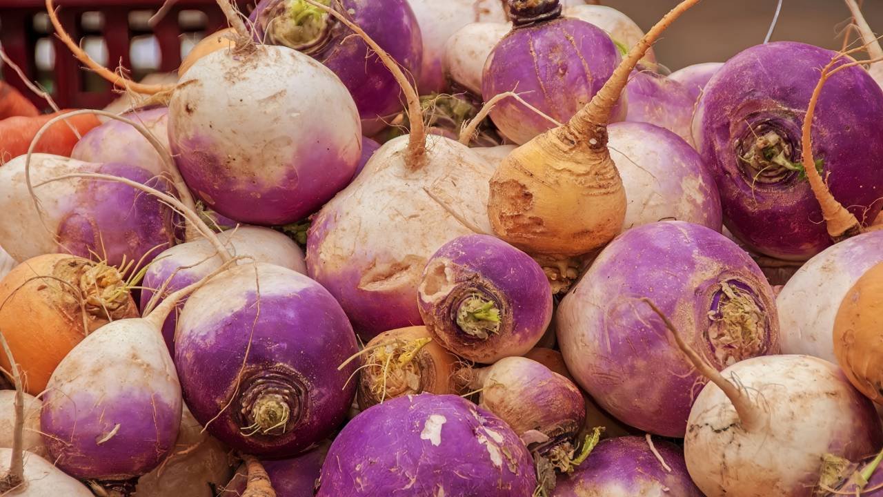 consumo de nabo