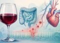 O que o vinho tinto em excesso provoca no intestino e na saúde cardiovascular