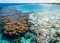 ondas de calor marinhas (3)