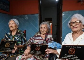 trio de irmãos vivos