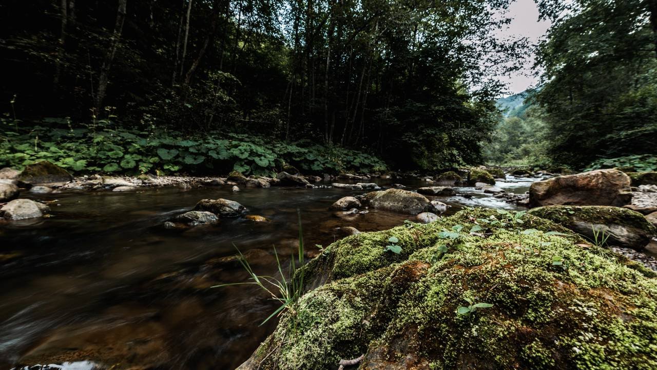 crime ambiental em rio