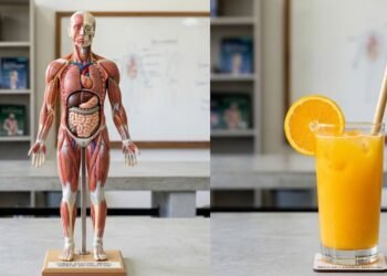O que acontece se você tomar suco de saquinho todos os dias