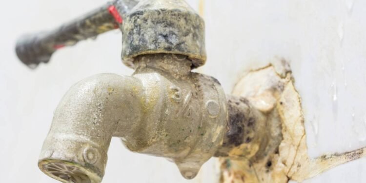 Como remover calcário de torneiras e vaso com ácido cítrico Créditos: depositphotos.com / phongphan