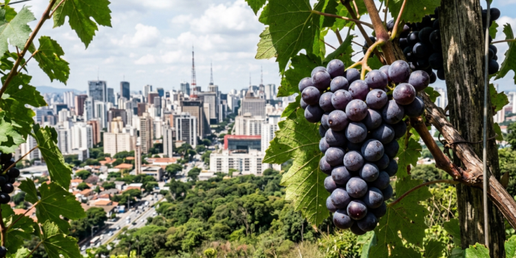 A Capital da Uva, fundada em 1949, atrai visitantes com festas das frutas e degustações de vinhos a 76 km de São Paulo