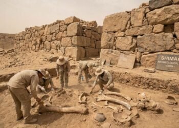 Cientistas analisam ossos de 4 mil anos e descobrem a origem misteriosa dos construtores da maior cidade de pedra da China