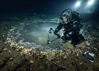Cientistas estudam o ambiente extremo onde poucos organismos conseguem sobreviver