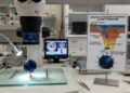 Cientistas encontram água no manto terrestre em uma reserva maior que os oceanos da superfície