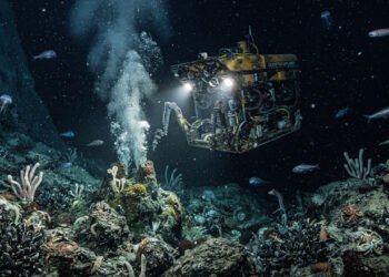 Uma comunidade de animais prospera nas profundezas do oceano sem qualquer luz solar, segundo especialistas