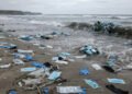 Estudos mostram que a crise sanitária deixou um impacto duradouro nos oceanos com resíduos plásticos