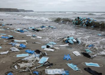Estudos mostram que a crise sanitária deixou um impacto duradouro nos oceanos com resíduos plásticos