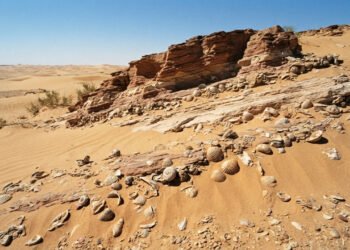 Estudos científicos revelam que o deserto do Saara preserva evidências de um passado coberto por oceanos