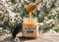 Mel de Manuka conquista espaço por suas características que chamam a atenção da Ciência