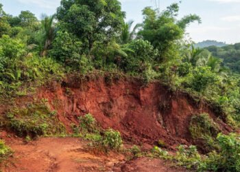 O ferro presente no solo explica por que algumas paisagens tropicais ficam avermelhadas