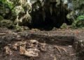 Cientistas investigam fósseis encontrados em caverna nas Filipinas e revelam uma nova espécie humana misteriosa