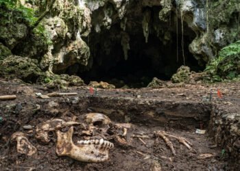 Cientistas investigam fósseis encontrados em caverna nas Filipinas e revelam uma nova espécie humana misteriosa