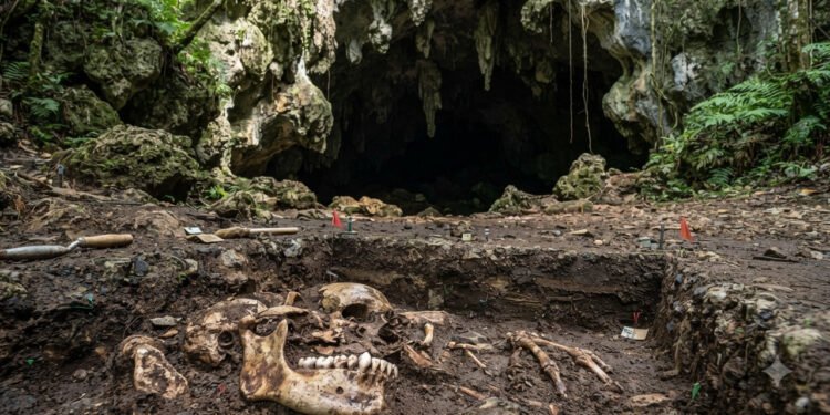 Cientistas investigam fósseis encontrados em caverna nas Filipinas e revelam uma nova espécie humana misteriosa