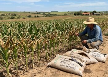 Pequeno produtor rural compra R$ 45 mil em fertilizantes químicos com nota fiscal para a safra de milho, descobre após a aplicação que o lote continha mistura excessiva de sal/areia que queimou 15 hectares de lavoura e aciona o fornecedor na Justiça para exigir o ressarcimento da safra perdida