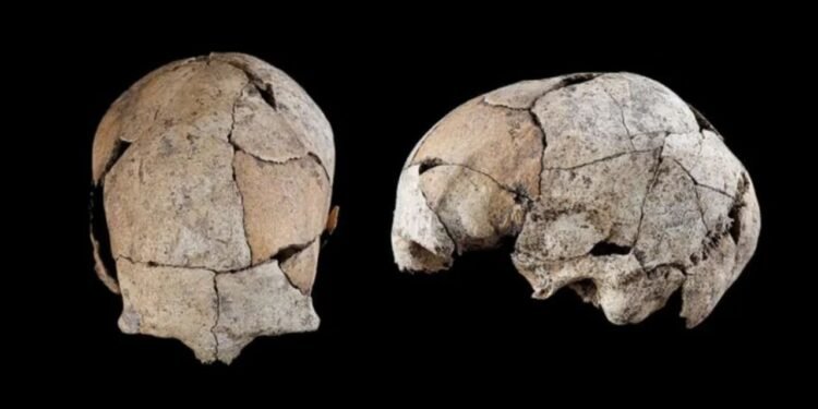 Pesquisadores espanhóis acharam um cemitério pré-histórico muito antigo na região de Burgos, no norte da Espanha - Créditos: S Díaz-Navarro et al. 2022, Scientific Reports