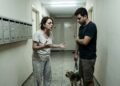 cão latindo perturbação sossego (2)