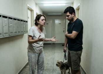 cão latindo perturbação sossego (2)