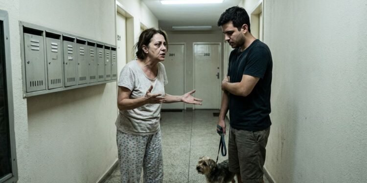 cão latindo perturbação sossego (2)